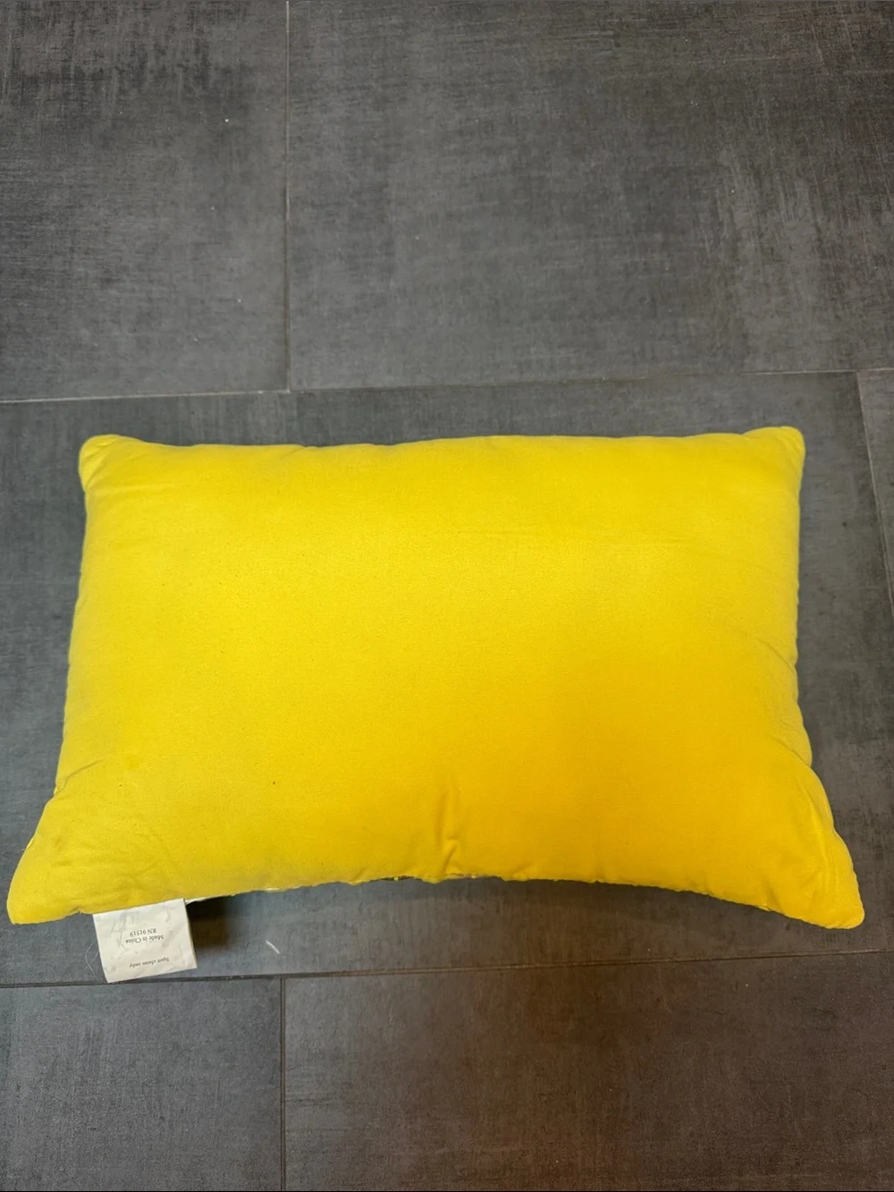 Embroidered Chevron Accent Pillow in Yellow